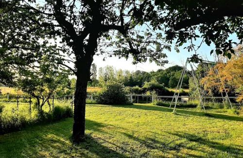 Cour-Cheverny Bed & Breakfast | Pet-Friendly Haven: La Bervinière with 10/10 Guest Ratings