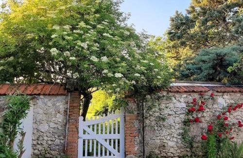 Cour-Cheverny Bed & Breakfast | Pet-Friendly Haven: La Bervinière with 10/10 Guest Ratings