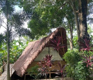 Sahagun Cabin | Discover La Bonita Ecohotel: Pet Friendly & Family Focused