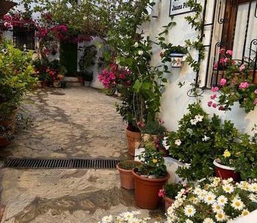 Casares House | Pet-Friendly Paradise: La Buganvilla de Juana y Antonio