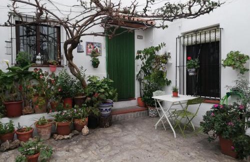 Casares House | Pet-Friendly Paradise: La Buganvilla de Juana y Antonio