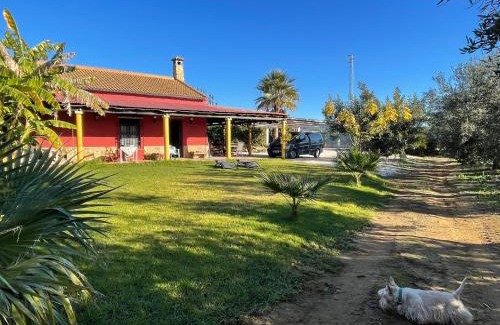 Hornachuelos House | La Buganvilla: Relax Amidst Olive Groves & Family-Friendly