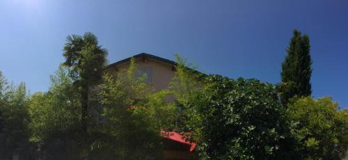 Croix de Pierre House | Oceanfront Bliss at La Bulle dans le Palmier - Rated 9.5