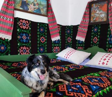Porumbacu de Jos House | Pet-Friendly Retreat at La Bunu Nic - Rated 9.6/10!