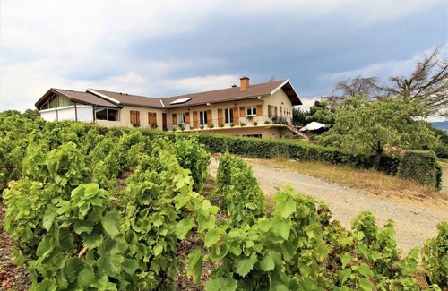 Villie-Morgon House | Discover La Côte du Py - Villie Morgon: Rated 9/10 Getaway