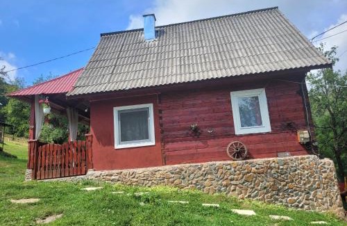 Avram Iancu House | Cozy La căsuță: Pet-Friendly Retreat with Kitchen Access