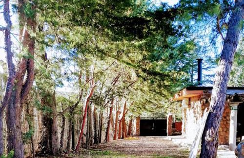 Ruidera House | Discover La Cabaña de Piedra: 4-Star, Pet-Friendly Retreat