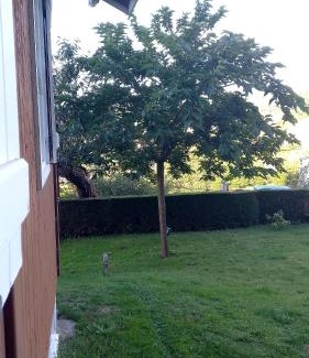 Esteiro House | Top-Rated Family Retreat: La Cabaña Awaits You