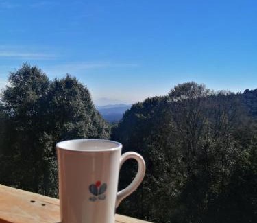 Toluca City-Centre Cabin | Welcoming La Cabaña: Pet Friendly Retreat with Great Reviews