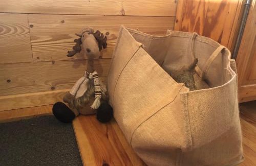 Ore Ski Chalet | Experience Family-Friendly Comfort at La Cabane du Trappeur