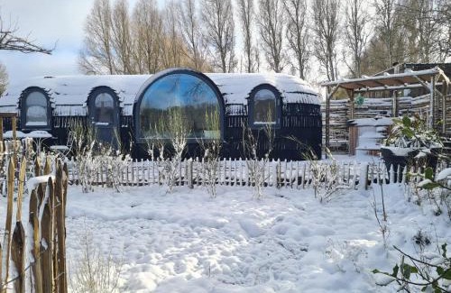 Lavacherie Other | La CABANE LUXUEUSE AVEC JACUZY