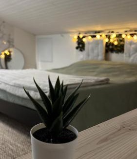 Mondonville Apartment | Budget-Friendly Stay at La Cabane Végétale with Dining