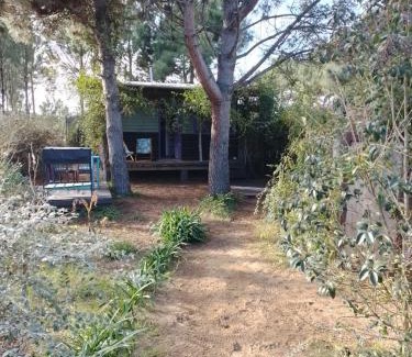 Pinamar House | Cozy La Cabanita Pinamar: Rated 9.7, Pet & Child Friendly