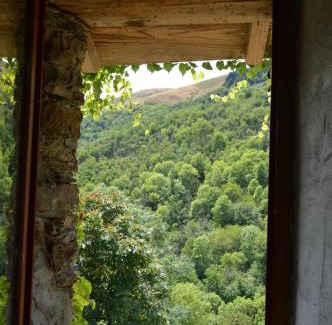 Bassurels House | Pet-Friendly Retreat at La Calade de Craysoules - Rated 9.1