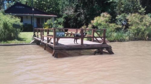 Partido de Tigre House | Pet-Friendly Getaway at La Caleta - Rated 8.9/10