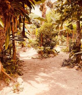 Mompiche House | Oceanfront Bliss at La Caleta - Guest Rated 10/10
