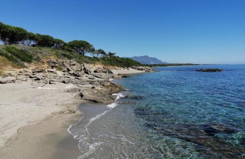 Bravone Apartment | Family-Friendly L' Affascinante Caletta Corsa 2 by the Sea