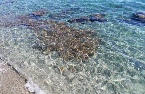 Bravone Apartment | Family-Friendly L' Affascinante Caletta Corsa 2 by the Sea