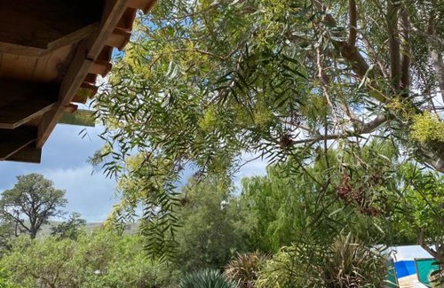 Sierra de la Ventana House | Discover La Candelaria: Family-Friendly Pool Retreat