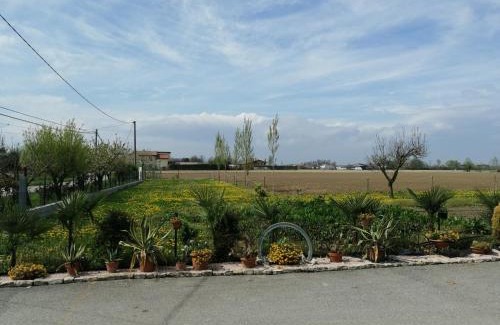 Codevigo House | Experience Ultimate Comfort at La Carlottrina Hotel