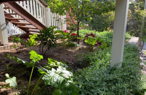 Leura House | Experience Unmatched Comfort at La Casétta - Rated 9.9/10