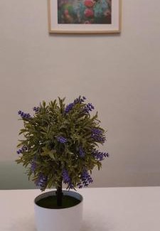 Altavilla Milicia Apartment | Unforgettable Stays at La Casa All'Angolo - 10/10 Rated