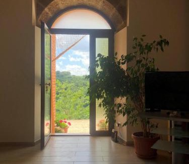 Pitigliano Apartment | Pet-Friendly Retreat at La Casa all'Oliveto - Rated 9.2/10