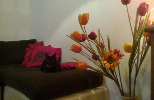 Parque Patricios Apartment | Discover La Casa De Lily: Family-Friendly & Pet Welcome