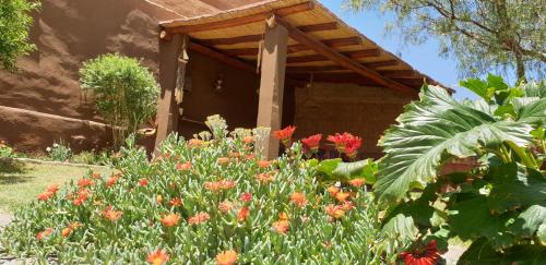 Tilcara House | Discover La Casa de los Molles - Rated 9.5/10 by Guests