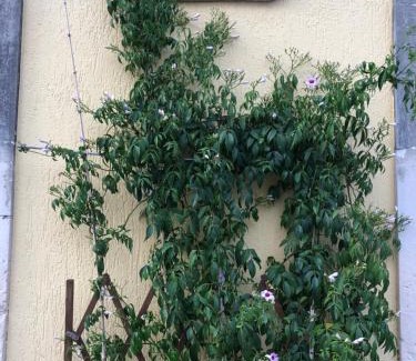 Serrano Apartment | Guest Rated 10/10: La Casa dei Collana, Family-Friendly Stay