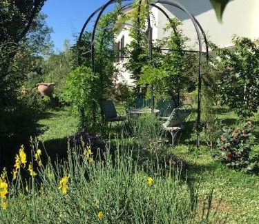Fabrica di Roma House | Discover La Casa Dei Fiori: Pet Friendly & Family Approved