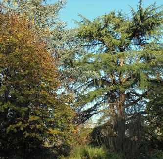 Sciolze House | Pet-Friendly Retreat at LA CASA DI NEH - Score: 8.7/10