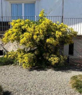 Cerrione House | Discover Family-Friendly Comfort at La Casa di Pietro