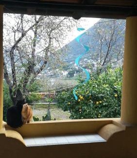 Malfa House | Cozy Retreat at La Casa di Titti e Jack: Pet-Friendly Stay
