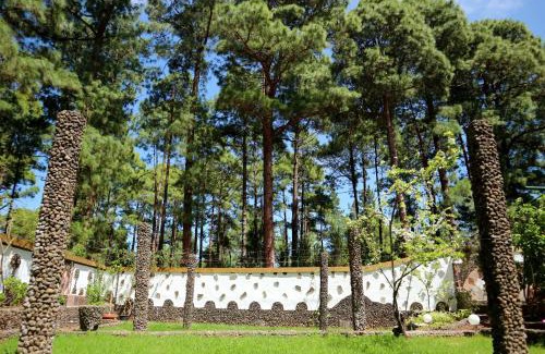 Icod de los Vinos House | Kid-Friendly Getaway at La Casa Encantada del Bosque
