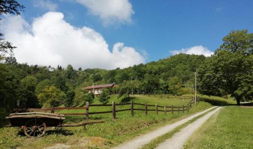 Berzano di San Pietro Bed & Breakfast | Experience La casa in collina: Perfect for Families & Pets