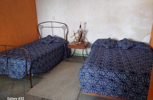 Xochitlan de Vicente Suarez House | La Casa D'Alick