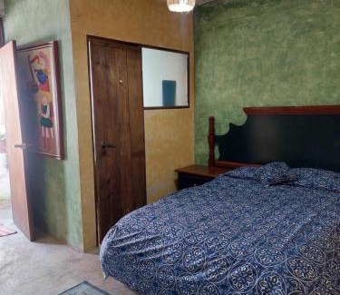 Xochitlan de Vicente Suarez House | La Casa D'Alick