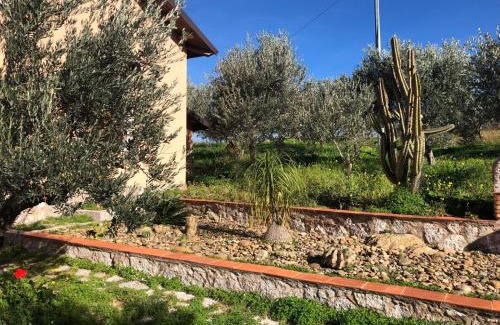 San Marco d'Alunzio House | La Casa nel Vigneto