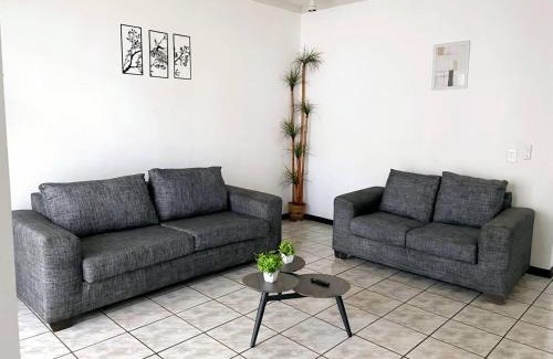 Monterrey House | La Casa Rosa Monterrey