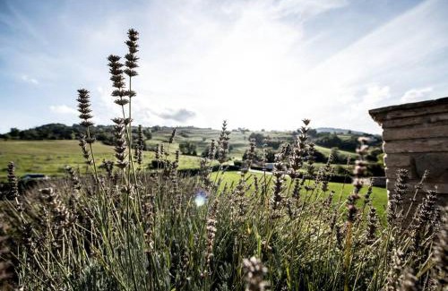 Rotella House | Scenic La Casa Vacanza with Vineyard Views & Family Amenities