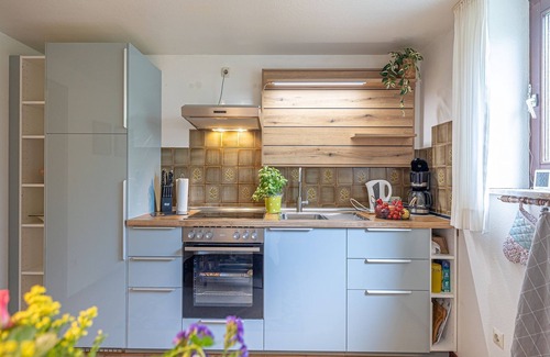 Norgaardholz Apartment | Pet-Friendly La Casa Vacation Apartment with Ocean View