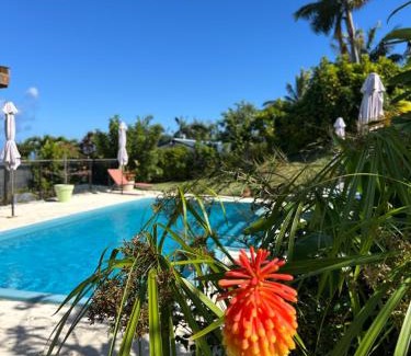 Petite-ÃŽle House | Discover La Case Vétyver: Oceanfront Retreat with Pool