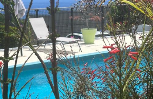 Petite-ÃŽle House | Discover La Case Vétyver: Oceanfront Retreat with Pool