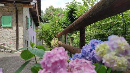 Gerosa House | Experience Oceanfront Comfort at La Casetta di Musita