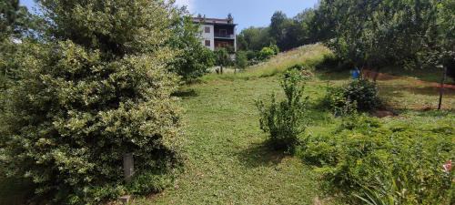 Roburent Apartment | Discover La Casetta in Codevilla - Pet and Child Friendly Stay