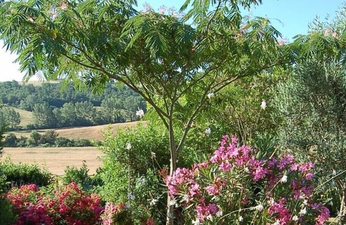 Casole d'Elsa House | Relaxing La Casetta: Countryside Retreat with Pool & Views