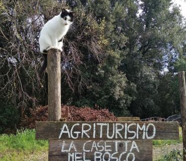 Manciano House | La casetta nel bosco