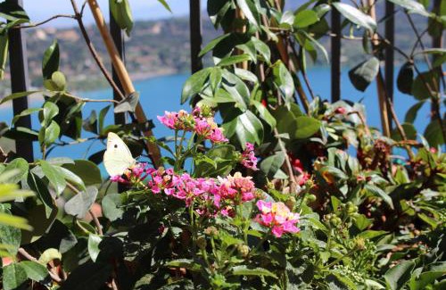 Castel Gandolfo Apartment | Top-Rated La Casetta Superior: Family-Friendly Getaway