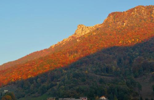 Serina House | Experience La Casina nella Valle: Guest Rated 10/10 Stay